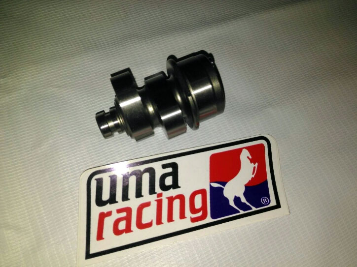 Uma Racing