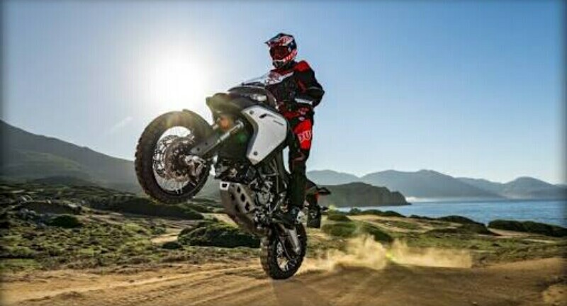 Multistrada 1200 Enduro Direcall