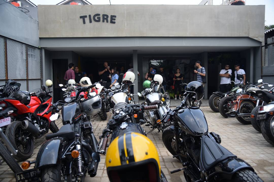 Tigre, Street Wear Store