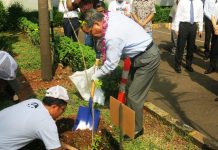 Ultah ke-40, NGK Busi Indonesia Tanam 1.000 Pohon dan Bagikan 1.000 Busi Gratis NGK Busi Indonesia