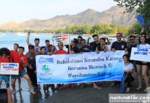 Finis di Bali, Tim Motorbaik Tercengang dengan Biorock Terumbu Karang Biorock terumbu karang