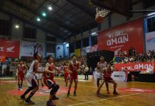 Honda DBL