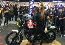 Yamaha SCR950 dan XSR700