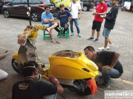 Mau Ganti Warna Pakai Cat Semprot Diton Premium? Ini Biayanya Diton