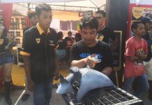 Games Cat Semprot Diton Ramaikan Ulang Tahun Scooterhood ke-6 Diton