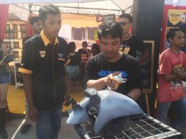 Games Cat Semprot Diton Ramaikan Ulang Tahun Scooterhood ke-6 Diton