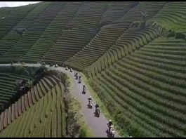 Touring PSF ke Majalengka dan Bandung, Eloknya Bukit Panyaweuyan Touring PSF ke Majalengka