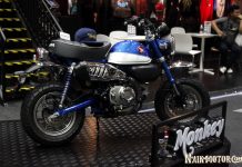 Menyusul Thailand dan Malaysia, Honda Monkey Z125 Siap ke Indonesia? Honda Monkey Z125
