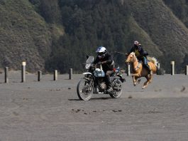 Himalayan Bromo Ride