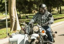 Ada-ada Saja, Ini Goggles Khusus untuk Anjing Teman Berkendara Goggles Khusus untuk Anjing