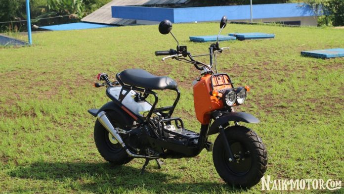 Gaya Honda Zoomer Lokal Hasil Ubahan Radikal