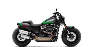 Skema Cat Custom Harley-Davidson