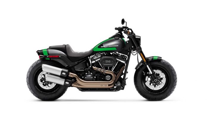 Skema Cat Custom Harley-Davidson
