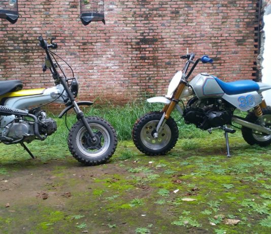 Duo Honda Mini Scrambler Ala Gator, Mini Maksi Retro Duo Honda Mini Scrambler