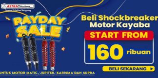 PayDay Astrotoshop ShockAbsorber