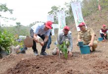 Astra Honda Pranaraksa Center Komitmen Pelestarian Tanaman Langka Astra Honda Pranaraksa Center