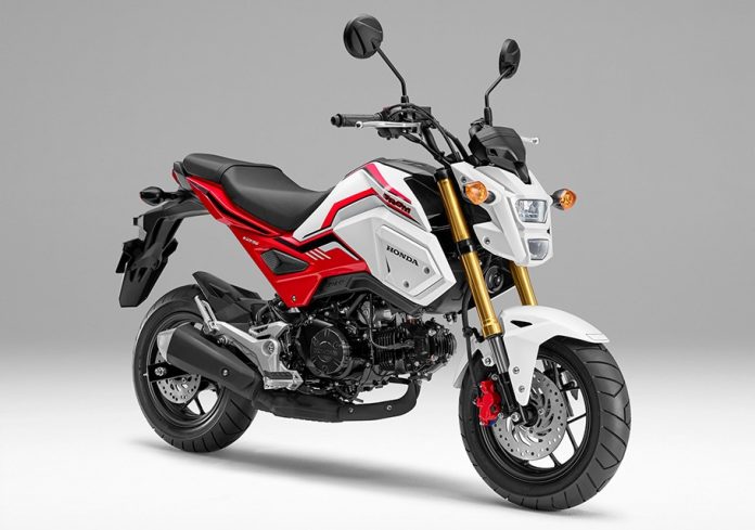 honda grom 125