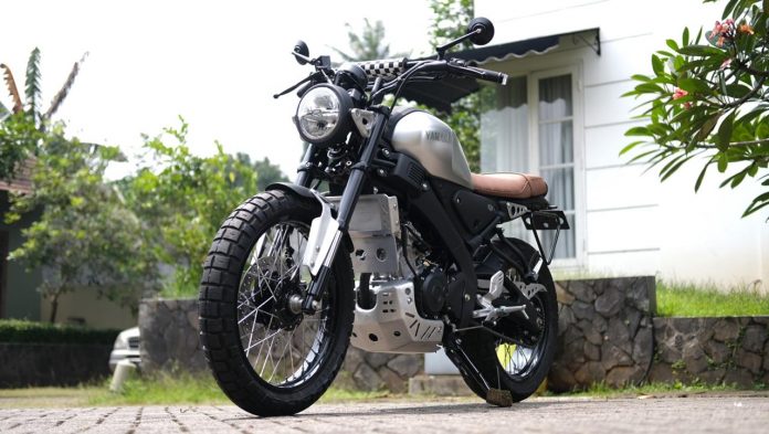 XSR155 Scrambler Gator