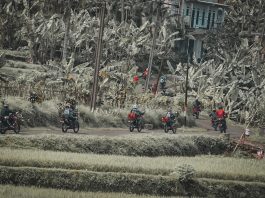 CRF Rally Indonesia Gelar Fun Adventure dengan Camping Ceria dan Donasi crf rally indonesia