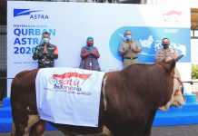 New Normal, Astra International Serahkan Hewan Qurban Dengan Protokol Kesehatan Astra Serahkan Hewan Qurban Dengan Protokol Kesehatan