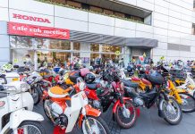 Karena Pandemi, Cafe Cub Meeting in Aoyama 2020 Dibuat Virtual Cafe Cub Meeting in Aoyama