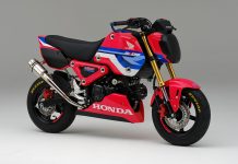Bakal Ada HRC Grom Cup, Begini Honda Grom Versi HRC Race Honda Grom Race