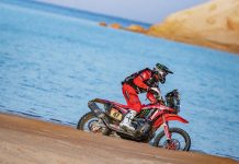 Benavides Juara Stage 9 Reli Dakar 2021, Toby Price Crash