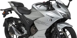 Suzuki GSX250F