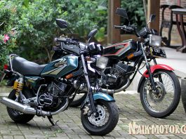 Mengebiri Keberingasan Sang Raja Jalanan Sang Raja Jalanan