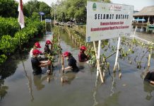 Lestarikan Keanekaragaman Hayati, AHM Tanam 1.200 Pohon di Jabar AHM Tanam Pohon