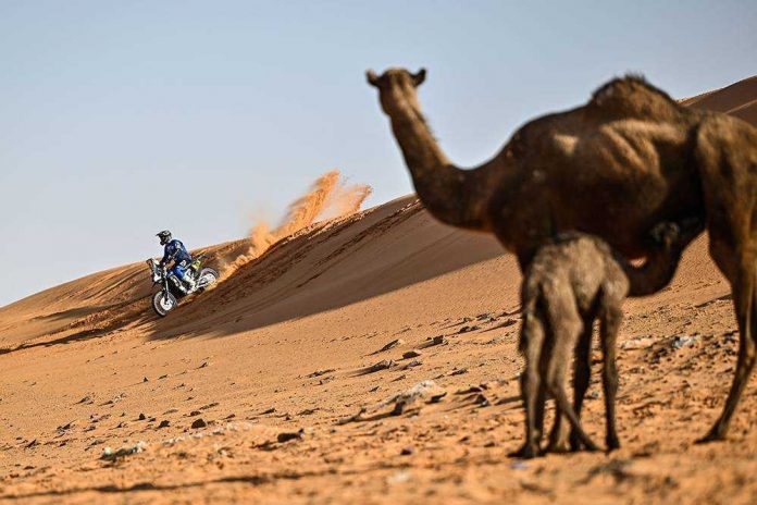 Yamaha Tidak Lagi Rally