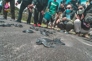 Srikandi_Wonderful_Ride_11 Tukik Hijau