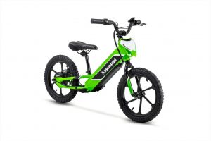 Kawasaki Electrode 2023 Kawasaki Electrode 2023