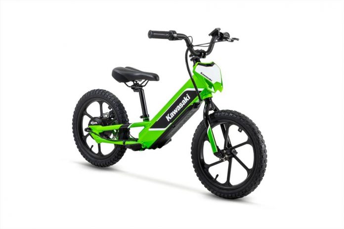 Kawasaki Elektrode 2023