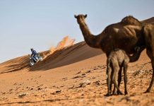 Reli Dakar 2023, akan Digelar 31 Desember 2022 Hingga 14 Januari 2023 Reli Dakar 2023