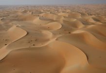 Reli Dakar 2023 Etape10