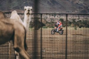 Reli Dakar 2023 Etape2