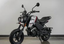 CFMoto Papio XO-2