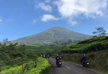 Navigate to The MAX 2023: Tour de Sumatera Wilayah Sumsel Navigate to The MAX 2023: Tour de Sumatera Wilayah Sumsel