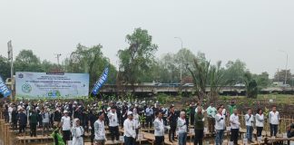 Penanaman 5.000 Pohon Mangrove