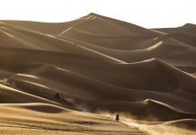 Reli Dakar 2024 Marathon Hari Pertama, Pemenang Etape 5 Kehabisan Bensin Reli Dakar 2024 Marathon