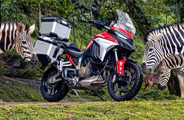 Ducati Indonesia Berpetualang Di Taman Safari Indonesia