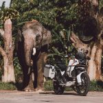 Ducati Indonesia Berpetualang Di Taman Safari Indonesia