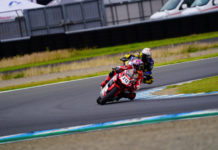 Race 2 ARRC 2024 Putaran 3 Motegi, Ramadhipa Pimpin klasemen AP250 Ramadhipa pimpin klasemen AP250