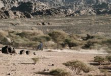 Reli Dakar 2025 Etape 3, Sanders Alami Masalah Tulip Elektronik Dakar 2025 Etape 3