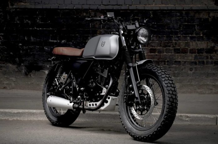 Mutt Akita 125
