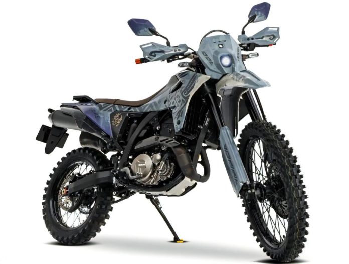 Suzuki DR-Z4S Monster Hunter