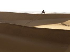 Reli Dakar 2026 Etape 9, Schaerina Kembali Menang Sanders Kembali Memimpin Klasemen Dakar 2026 Etape 9