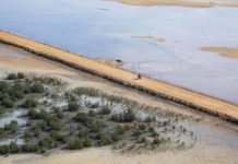 Reli Dakar 2026 Etape 13, Drama Brabec Penentu Kemenangan Luciano Benavides Dakar 2026 Etape 13