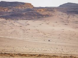 Reli Dakar 2026 Etape 4, Honda Kuasai Podium Lagi Dakar 2026 Etape 4